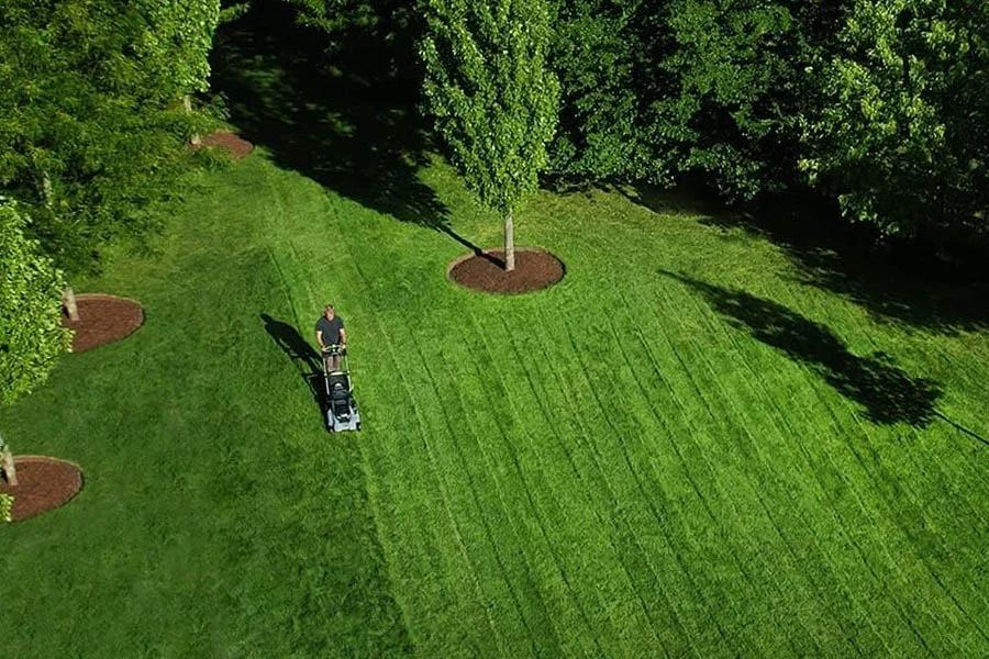 electric lawnmower